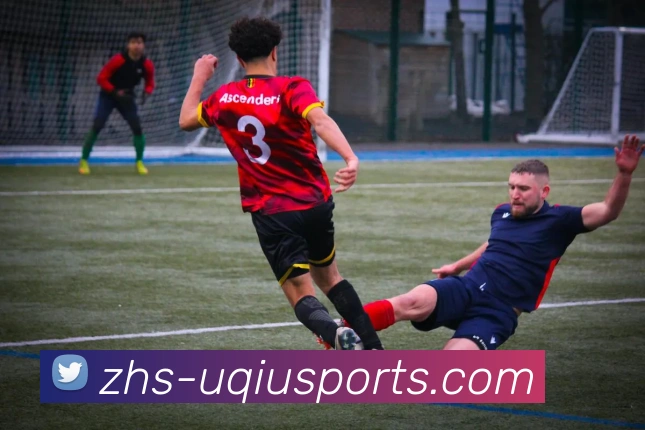 球赛投注平台生态图